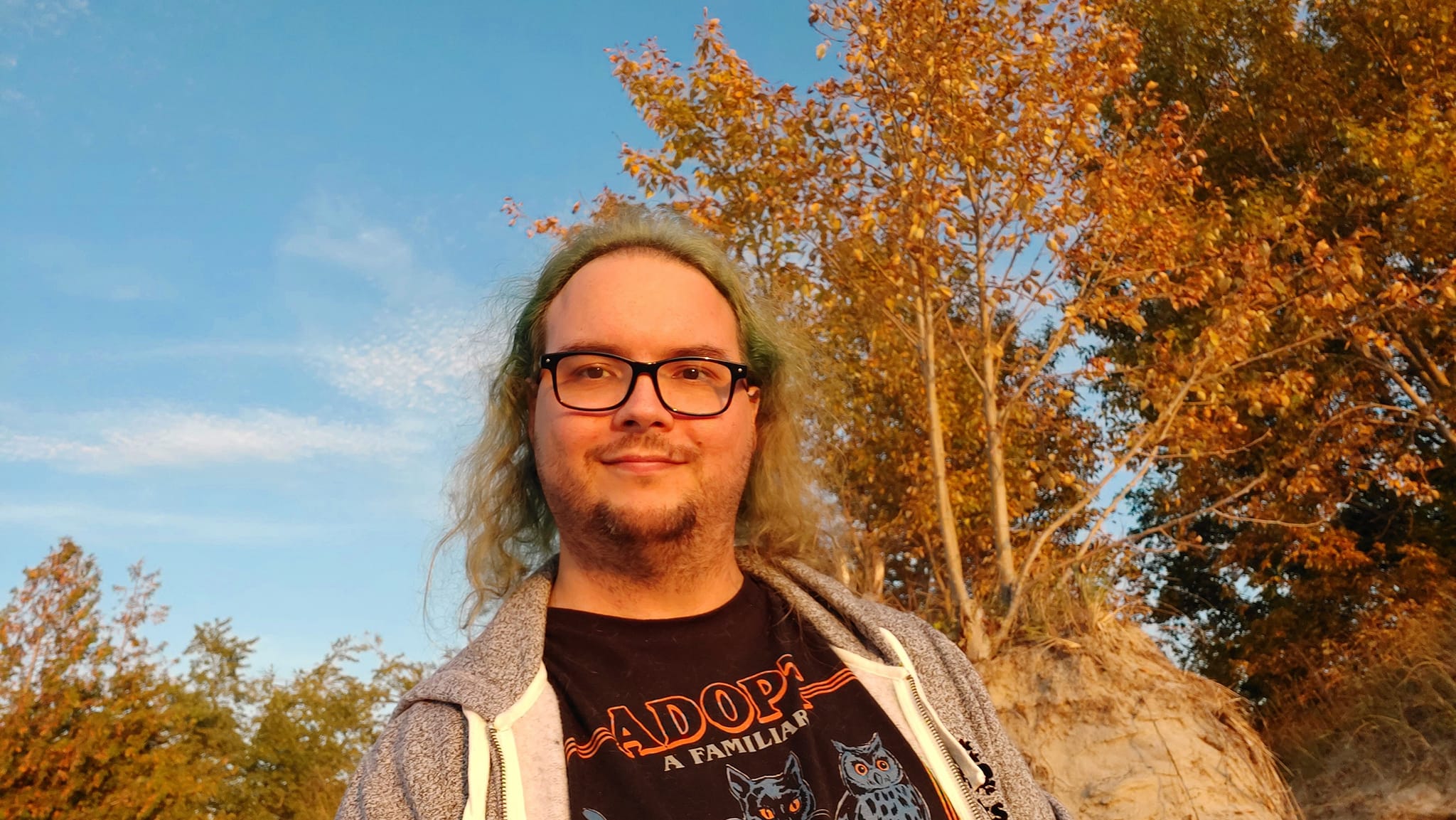 A man with green hair wearing a swetter sits on the sand in front of a dune with some birth trees on it, everything is golden coloured from the light of the sun